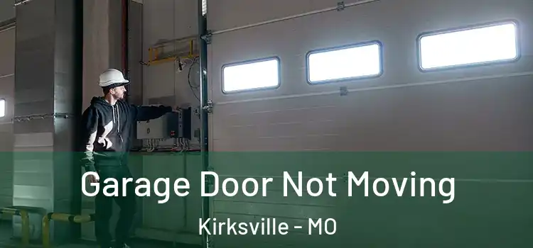  Garage Door Not Moving Kirksville - MO