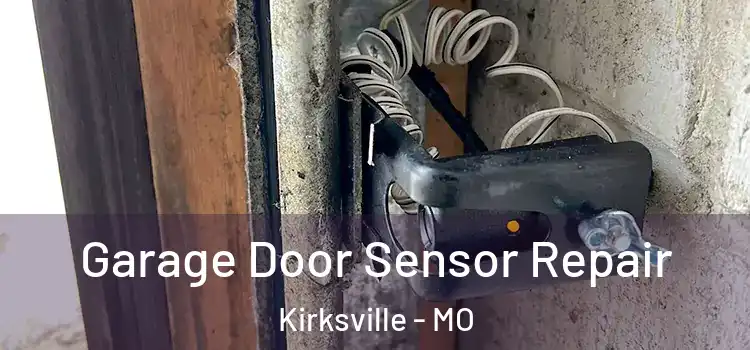  Garage Door Sensor Repair Kirksville - MO