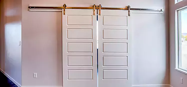 Glass Barn Door with Installation Hardware Kit Kirksville