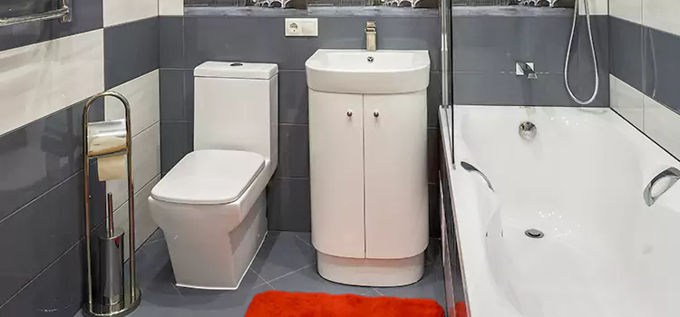 Hansgrohe Shaving Mirror Kirksville