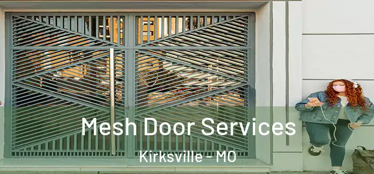  Mesh Door Services Kirksville - MO