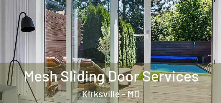  Mesh Sliding Door Services Kirksville - MO