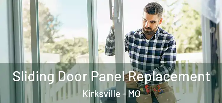  Sliding Door Panel Replacement Kirksville - MO