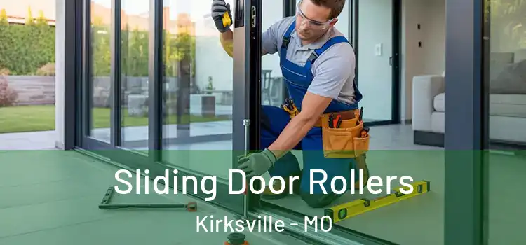  Sliding Door Rollers Kirksville - MO